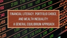 Financial Literacy, Portfolio Choice and Wealth Inequality: A General Equilibrium Approach