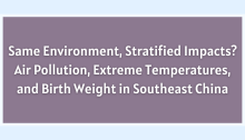 Same Environment, Stratified Impacts? Air Pollution, Extreme Temperatures, and Birth Weight in Southeast China